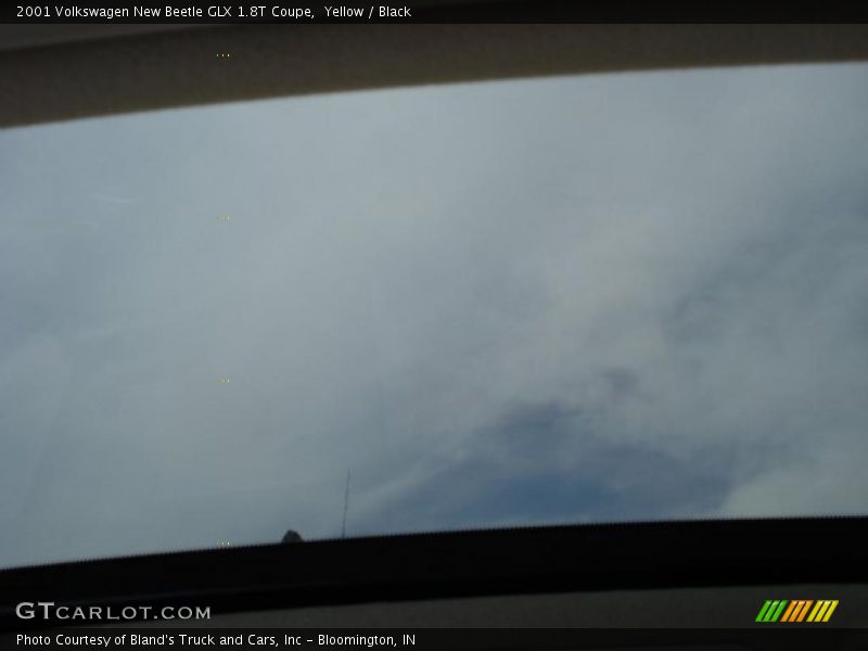 Yellow / Black 2001 Volkswagen New Beetle GLX 1.8T Coupe