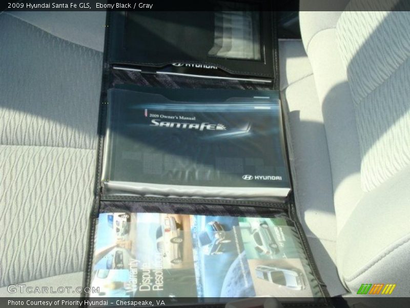 Ebony Black / Gray 2009 Hyundai Santa Fe GLS