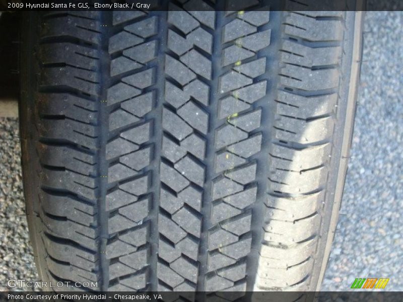 Ebony Black / Gray 2009 Hyundai Santa Fe GLS