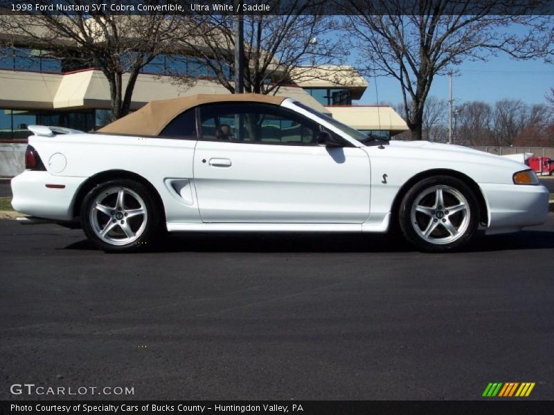 Ultra White / Saddle 1998 Ford Mustang SVT Cobra Convertible