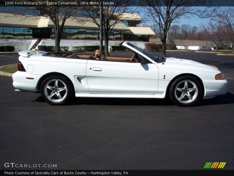 Ultra White / Saddle 1998 Ford Mustang SVT Cobra Convertible