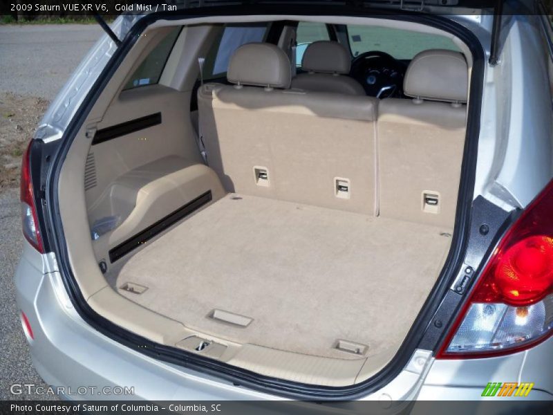 Gold Mist / Tan 2009 Saturn VUE XR V6