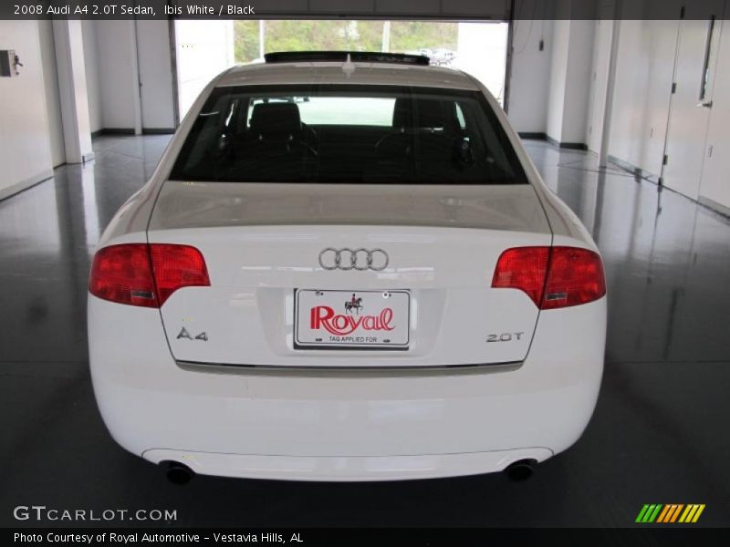 Ibis White / Black 2008 Audi A4 2.0T Sedan