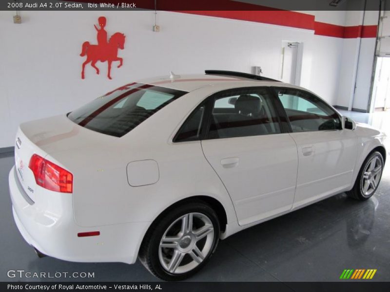 Ibis White / Black 2008 Audi A4 2.0T Sedan