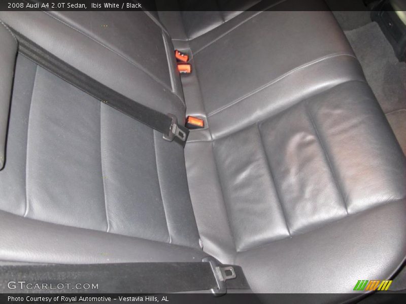 Ibis White / Black 2008 Audi A4 2.0T Sedan