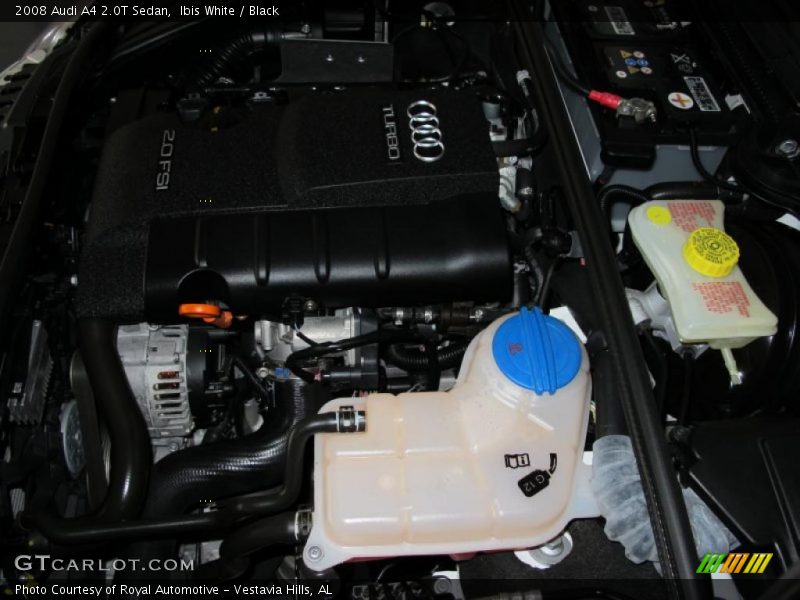 Ibis White / Black 2008 Audi A4 2.0T Sedan