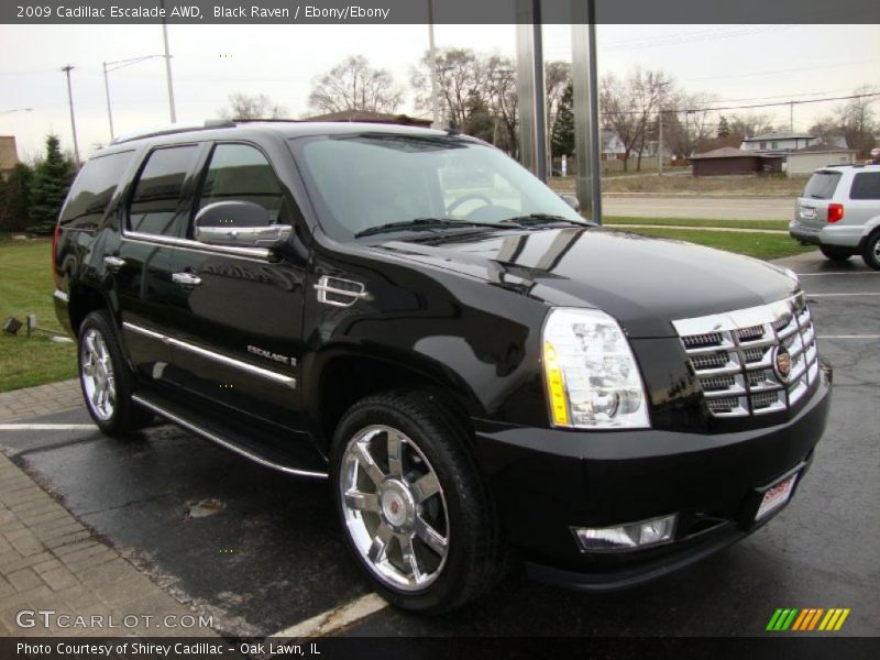 Black Raven / Ebony/Ebony 2009 Cadillac Escalade AWD