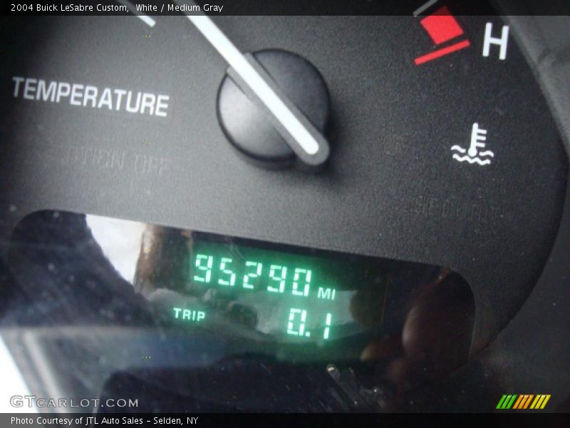 White / Medium Gray 2004 Buick LeSabre Custom