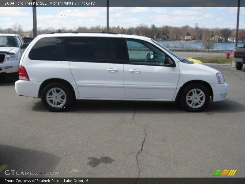 Vibrant White / Flint Grey 2004 Ford Freestar SEL