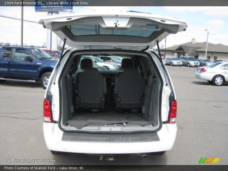 Vibrant White / Flint Grey 2004 Ford Freestar SEL