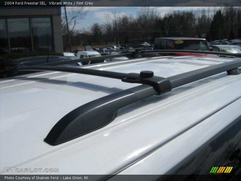 Vibrant White / Flint Grey 2004 Ford Freestar SEL