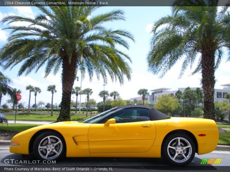 Millenium Yellow / Black 2004 Chevrolet Corvette Convertible