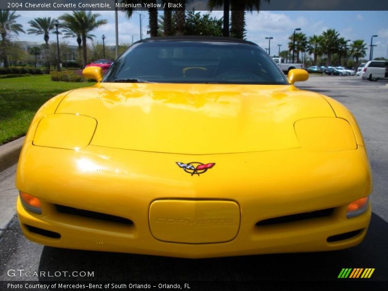 Millenium Yellow / Black 2004 Chevrolet Corvette Convertible