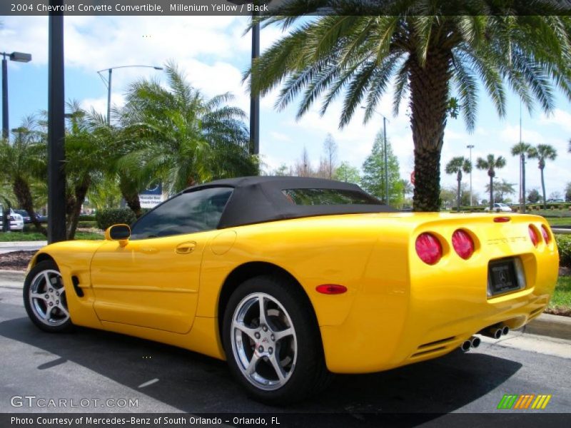 Millenium Yellow / Black 2004 Chevrolet Corvette Convertible