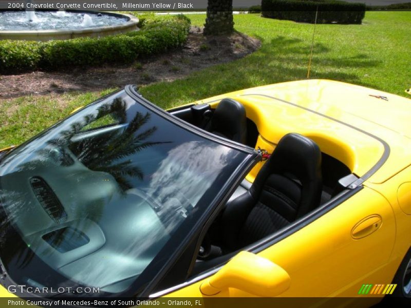 Millenium Yellow / Black 2004 Chevrolet Corvette Convertible