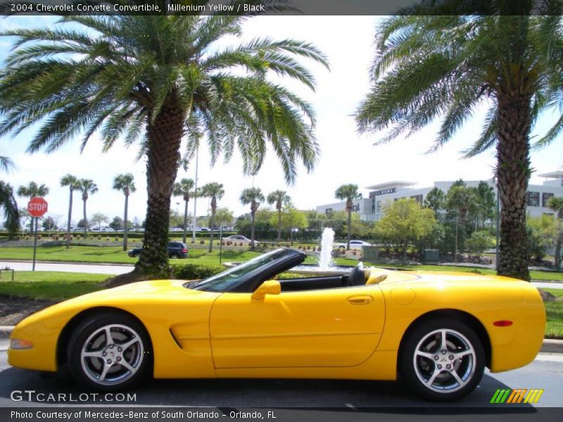 Millenium Yellow / Black 2004 Chevrolet Corvette Convertible