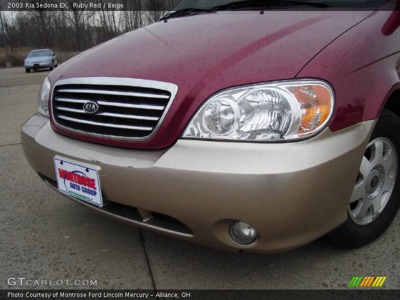 Ruby Red / Beige 2003 Kia Sedona EX
