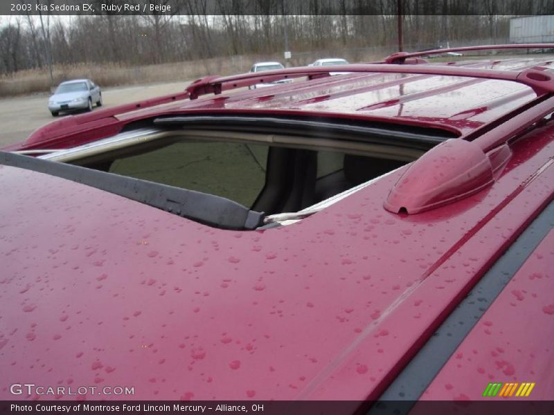 Ruby Red / Beige 2003 Kia Sedona EX