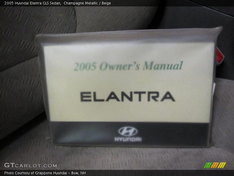 Champagne Metallic / Beige 2005 Hyundai Elantra GLS Sedan