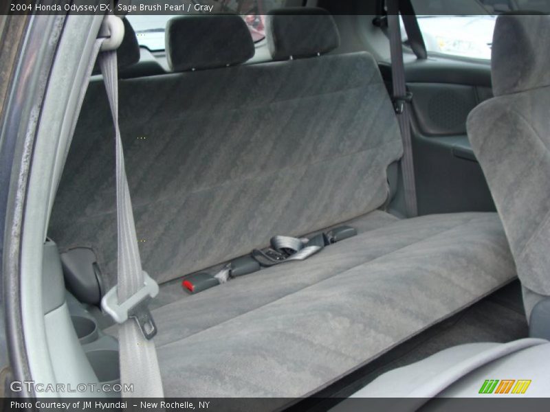 Sage Brush Pearl / Gray 2004 Honda Odyssey EX