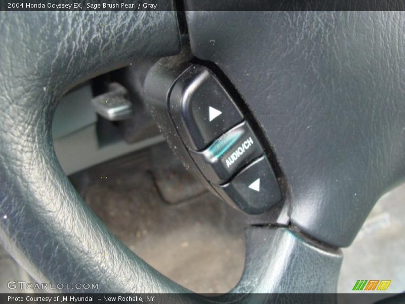 Sage Brush Pearl / Gray 2004 Honda Odyssey EX