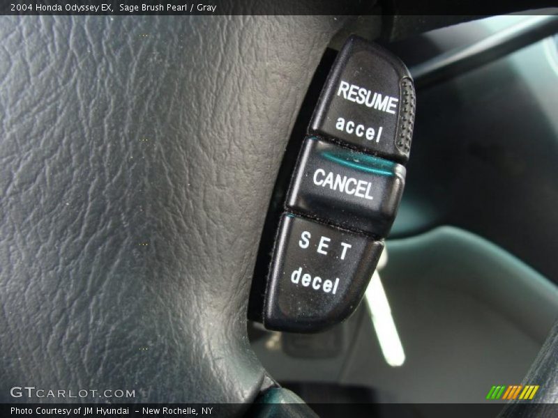 Sage Brush Pearl / Gray 2004 Honda Odyssey EX