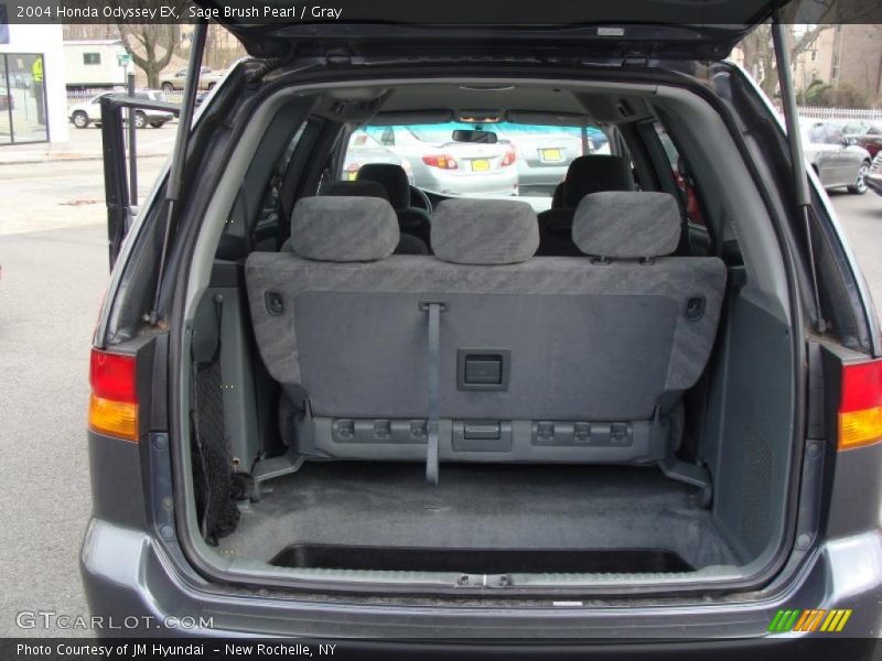Sage Brush Pearl / Gray 2004 Honda Odyssey EX
