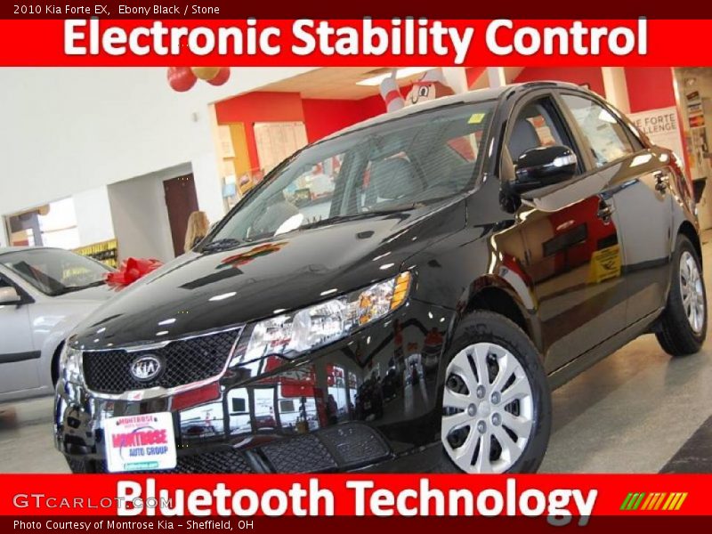 Ebony Black / Stone 2010 Kia Forte EX