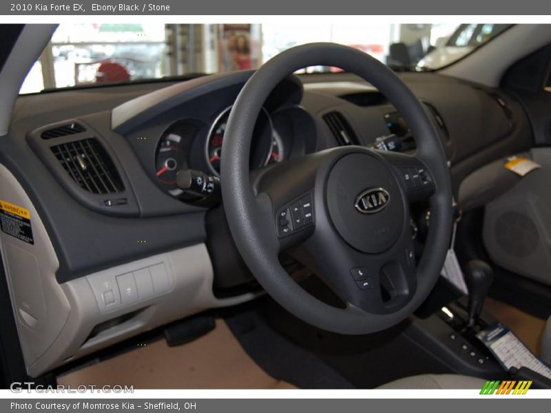 Ebony Black / Stone 2010 Kia Forte EX