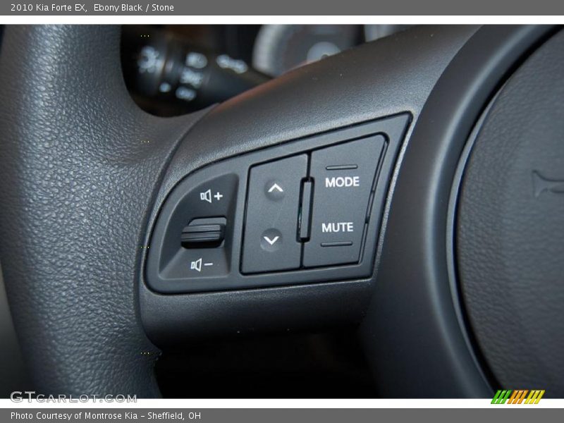 Ebony Black / Stone 2010 Kia Forte EX