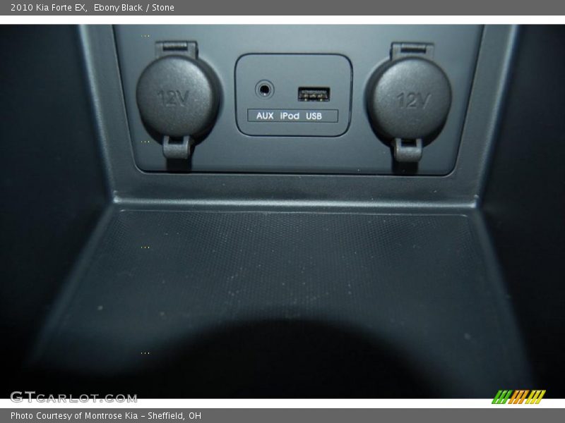 Ebony Black / Stone 2010 Kia Forte EX