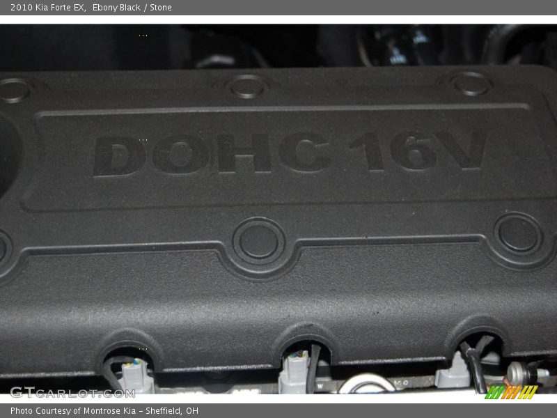 Ebony Black / Stone 2010 Kia Forte EX