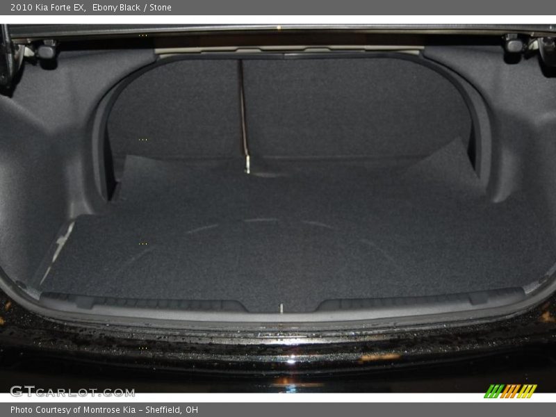 Ebony Black / Stone 2010 Kia Forte EX
