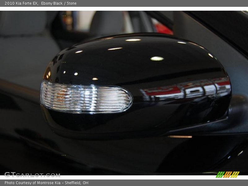 Ebony Black / Stone 2010 Kia Forte EX