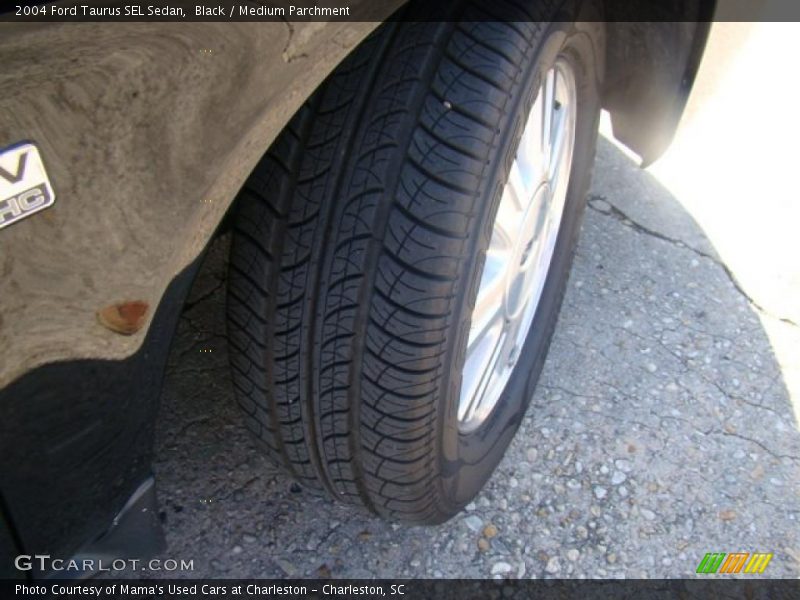 Black / Medium Parchment 2004 Ford Taurus SEL Sedan