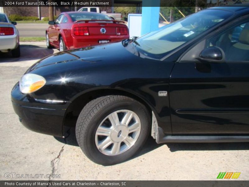 Black / Medium Parchment 2004 Ford Taurus SEL Sedan