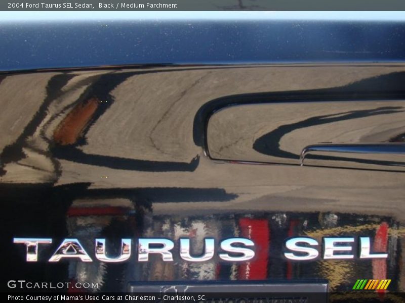 Black / Medium Parchment 2004 Ford Taurus SEL Sedan