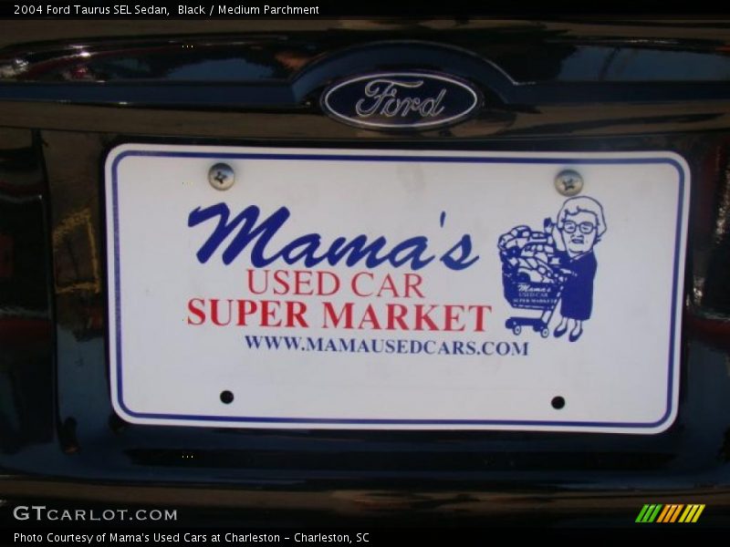 Black / Medium Parchment 2004 Ford Taurus SEL Sedan