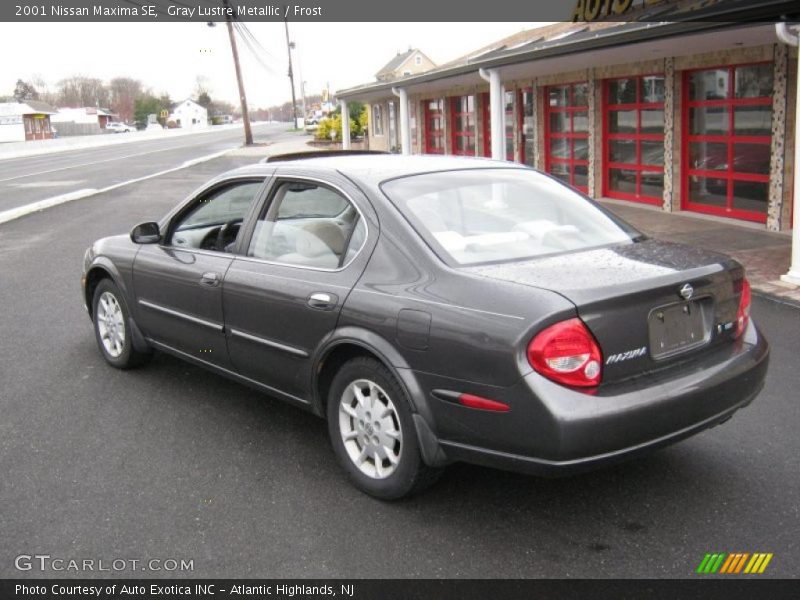 Gray Lustre Metallic / Frost 2001 Nissan Maxima SE