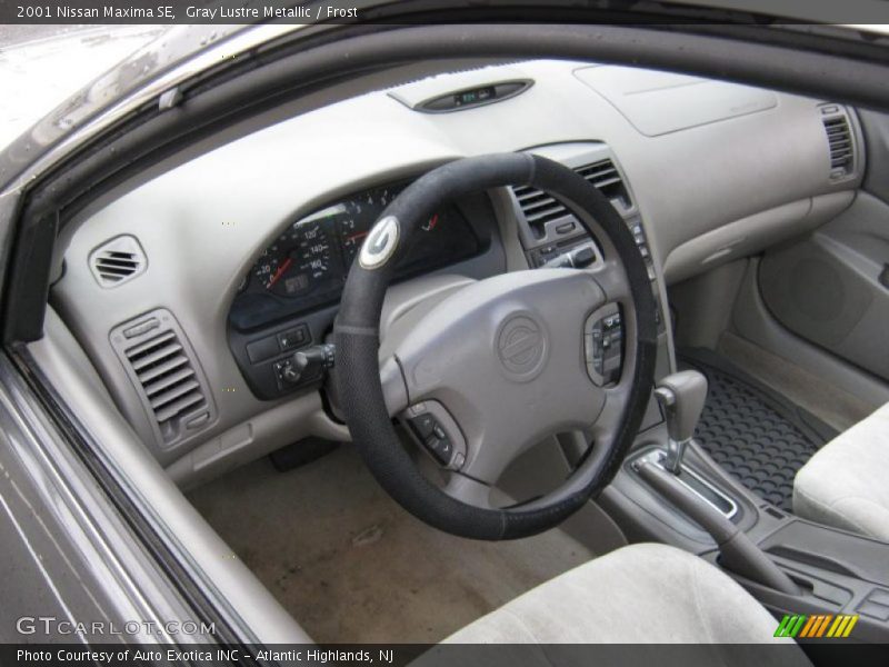 Gray Lustre Metallic / Frost 2001 Nissan Maxima SE