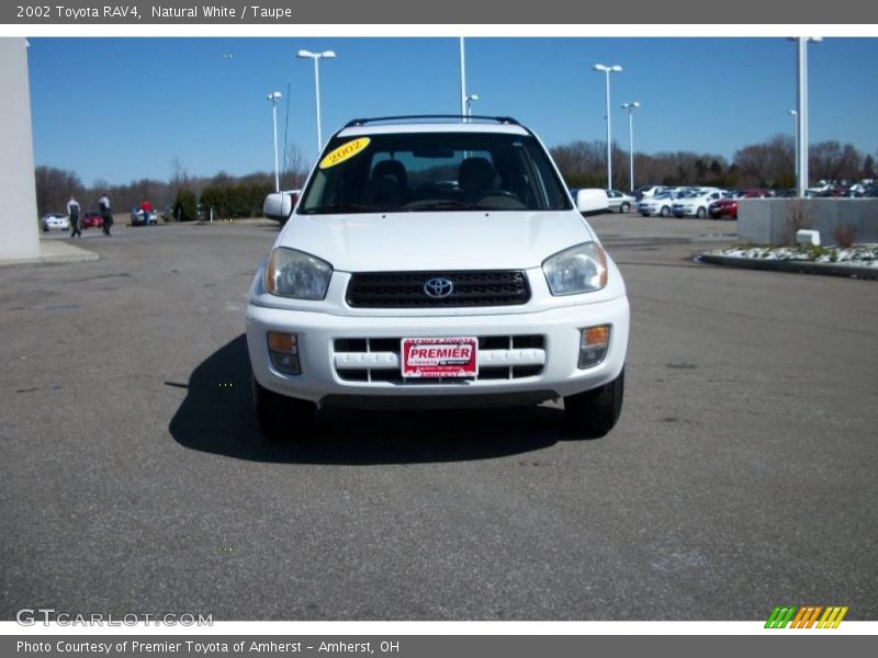 Natural White / Taupe 2002 Toyota RAV4