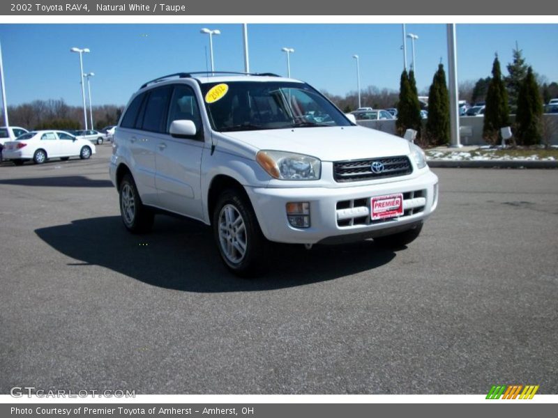 Natural White / Taupe 2002 Toyota RAV4