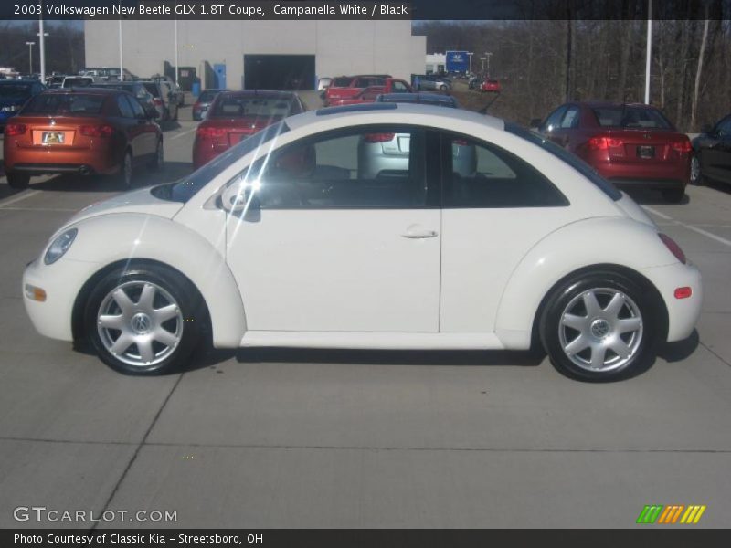 Campanella White / Black 2003 Volkswagen New Beetle GLX 1.8T Coupe