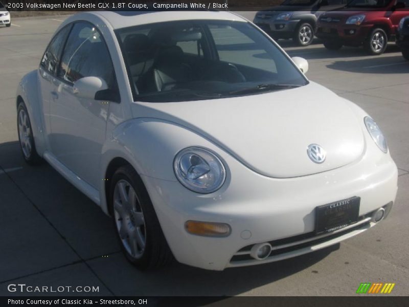 Campanella White / Black 2003 Volkswagen New Beetle GLX 1.8T Coupe