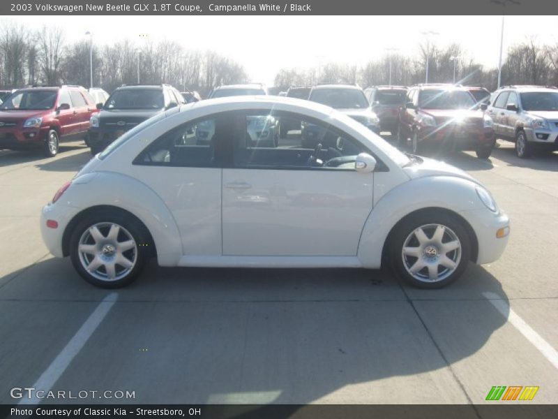 Campanella White / Black 2003 Volkswagen New Beetle GLX 1.8T Coupe