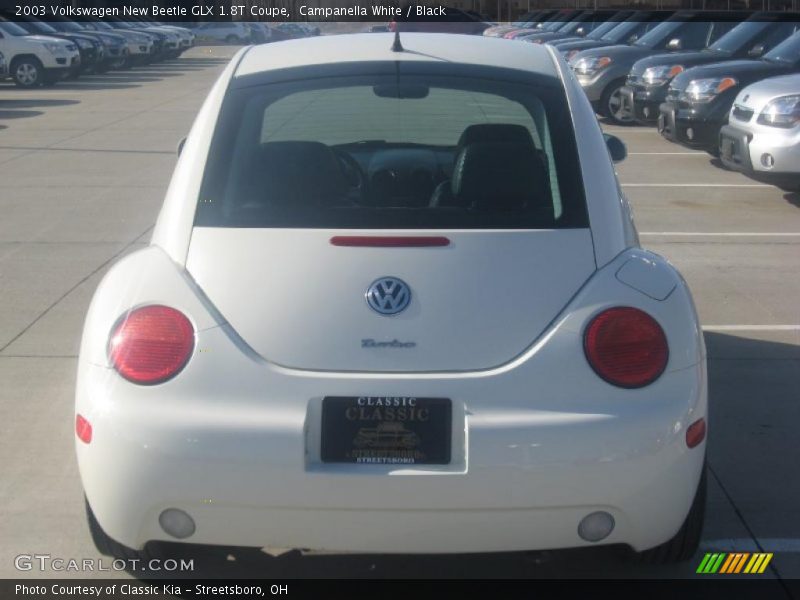 Campanella White / Black 2003 Volkswagen New Beetle GLX 1.8T Coupe