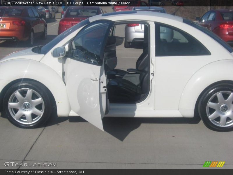 Campanella White / Black 2003 Volkswagen New Beetle GLX 1.8T Coupe