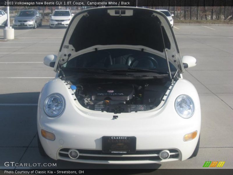 Campanella White / Black 2003 Volkswagen New Beetle GLX 1.8T Coupe