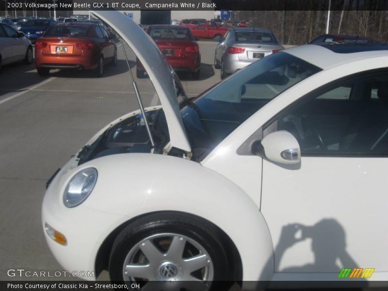 Campanella White / Black 2003 Volkswagen New Beetle GLX 1.8T Coupe
