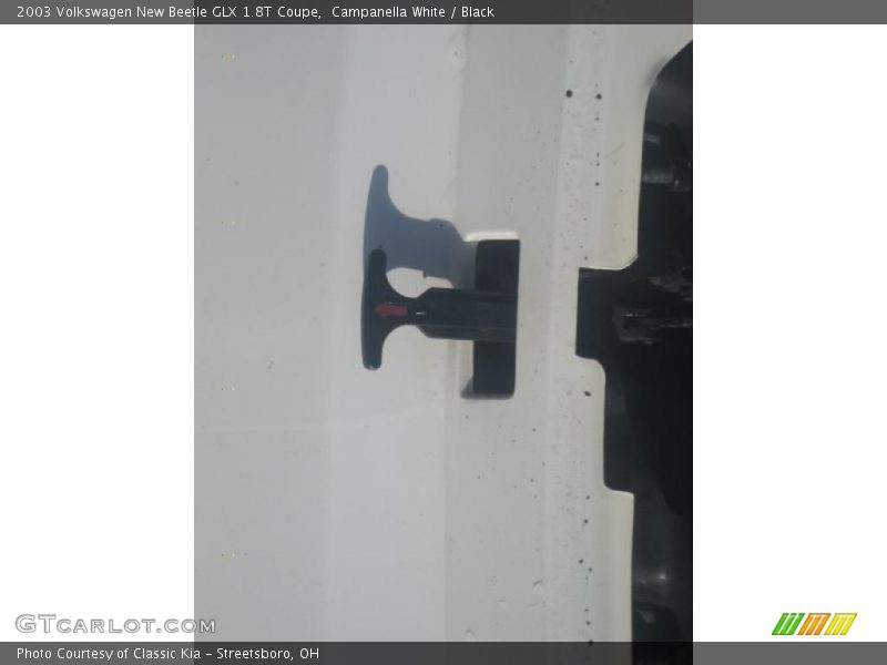 Campanella White / Black 2003 Volkswagen New Beetle GLX 1.8T Coupe